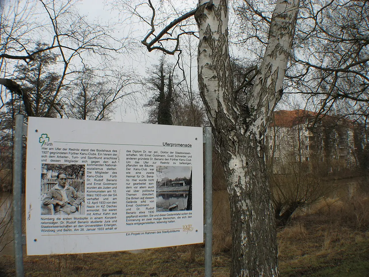 An information board with text and two small photographs stands beside a birch tree on a riverbank, with apartment blocks behind.