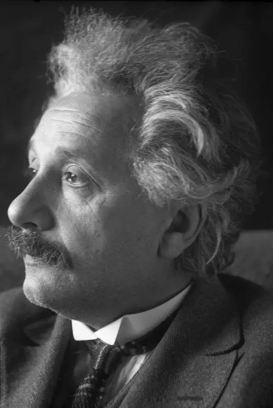 Portrait of Albert Einstein with his characteristic bushy grey hair and moustache.