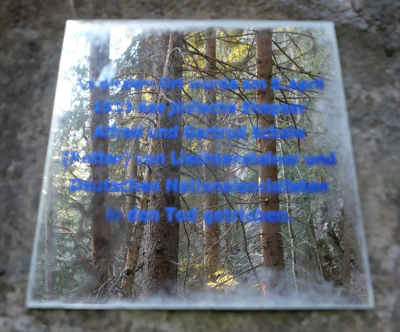 A small reflective plaque with an inscription fixed to a rock face in a wooded ravine.