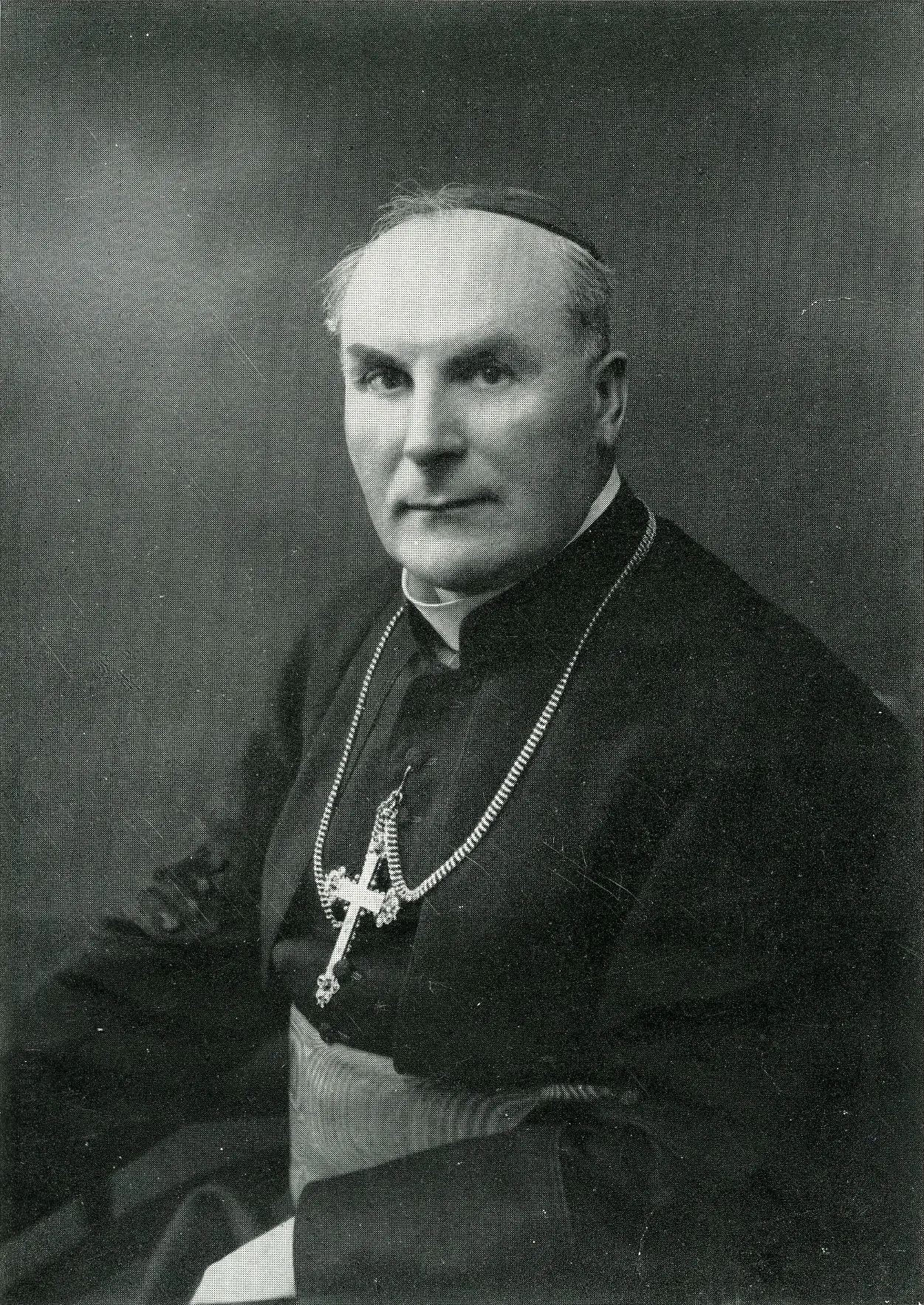 Portrait of an elderly cardinal in clerical dress and skullcap.